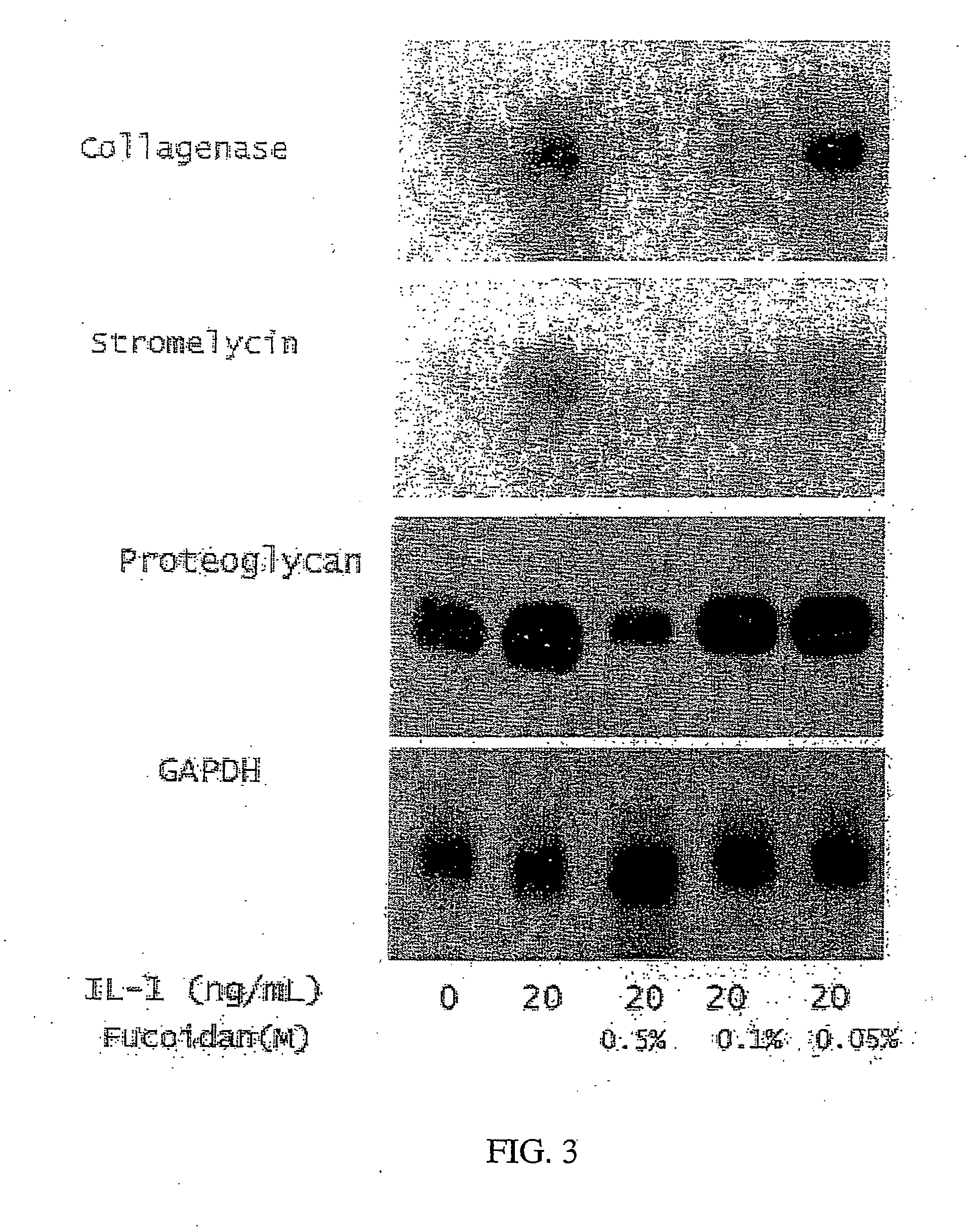 Pharmaceutical compositions and methods relating to fucans