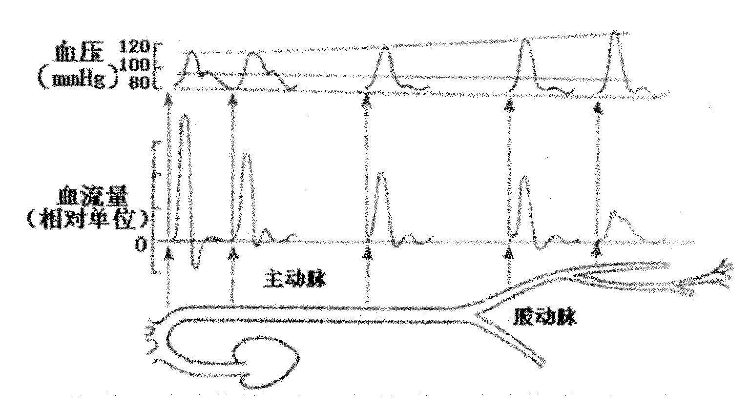 Novel quasi-physiological pulsating flow environment arterial blood vessel tissue engineering reactor