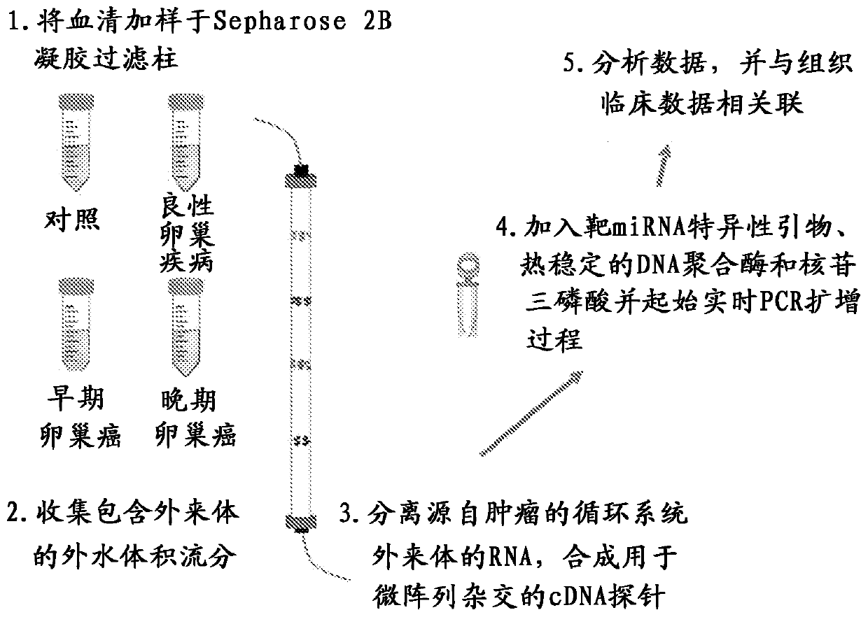 Exosome-associated microRNA as a diagnostic marker