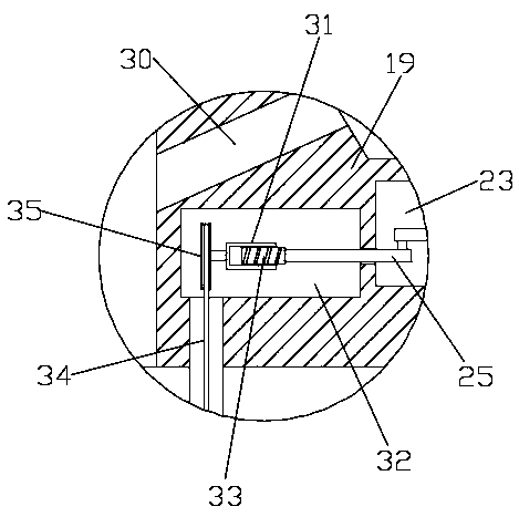 Fish feed put-in device for ecological agricultural system