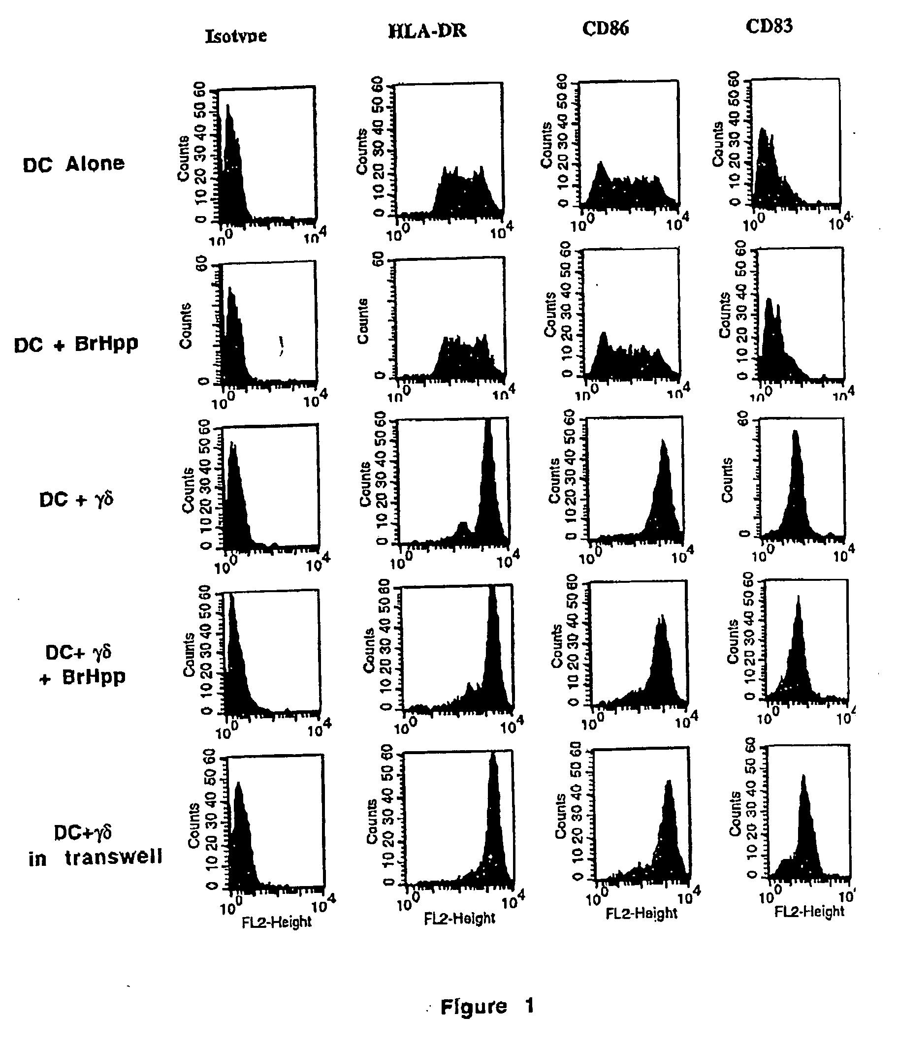 Generation and use of new types of dendritic cells