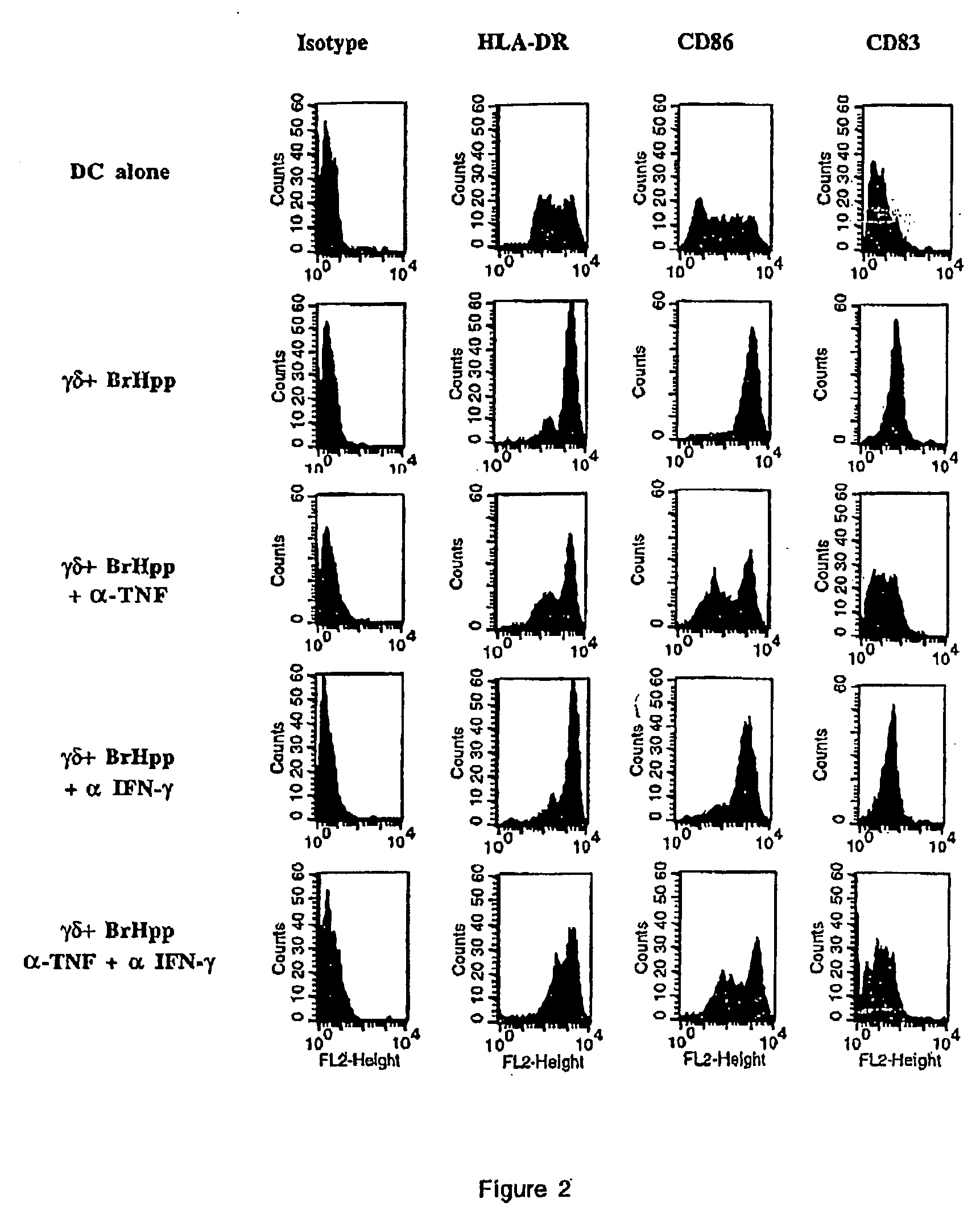 Generation and use of new types of dendritic cells