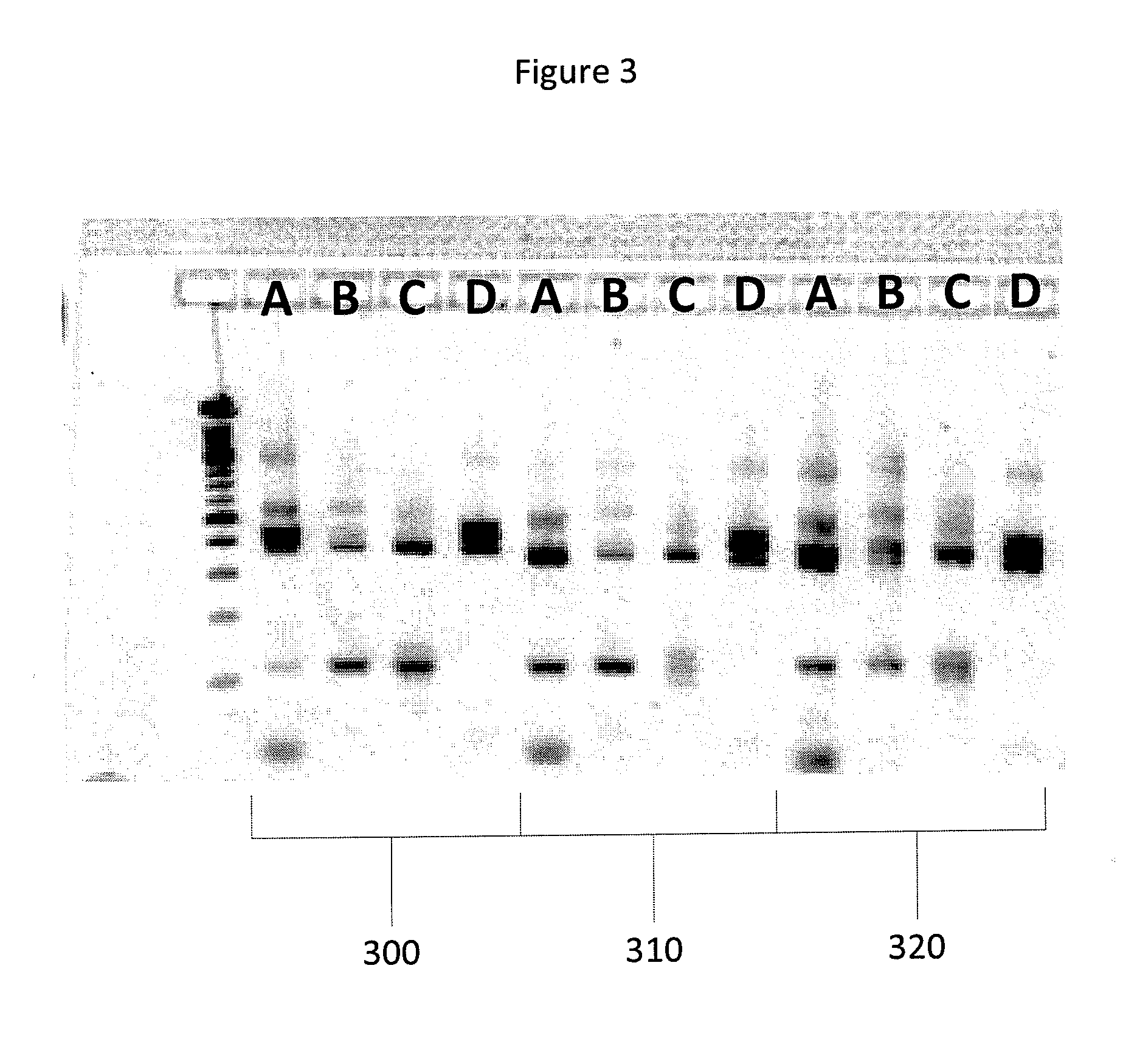 Method for Amplification of Target Nucleic Acids Using a Multi-Primer Approach