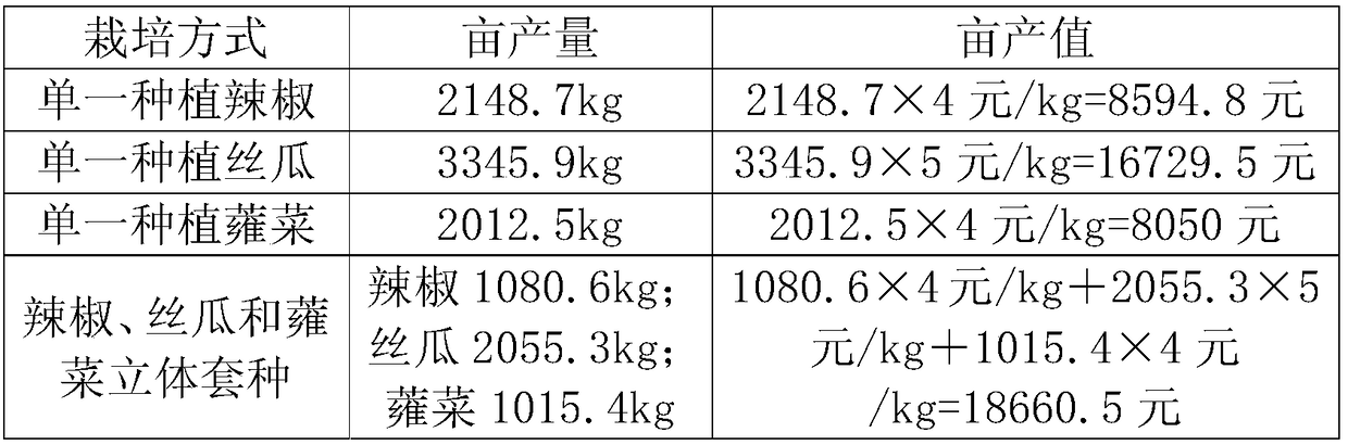 Composite three-dimensional ecological intercropping cultivation method of pepper, loofah and water convolvulus