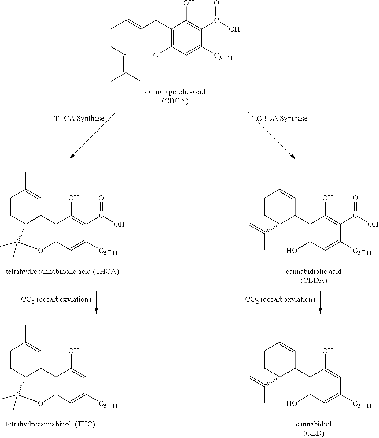 Compositions containing omega-3 fatty acids concentrates, cannabanoids and l-theanine and use thereof