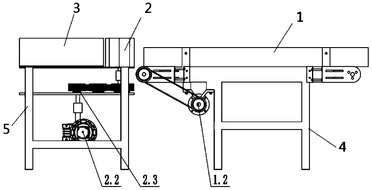 Fish belly-back oriented conveying device