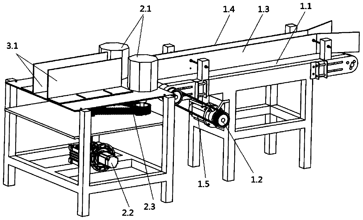 Fish belly-back oriented conveying device