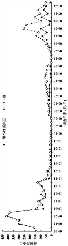 Trapping agent for Stethynium empoascae Subba Rao and Schizophragma parvula Ogloblin and application thereof