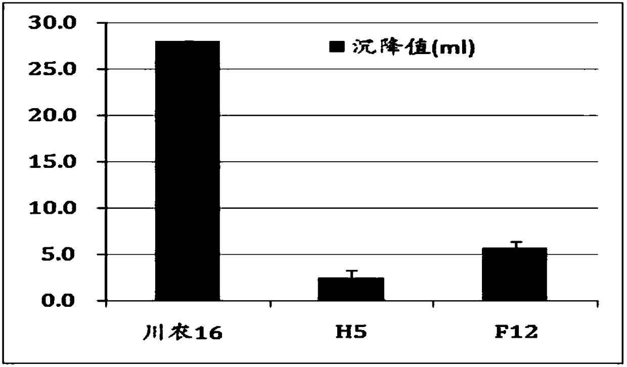 Preparation method of null type HMW-GS (High Molecular Weight Glutenin Subunits) wheat