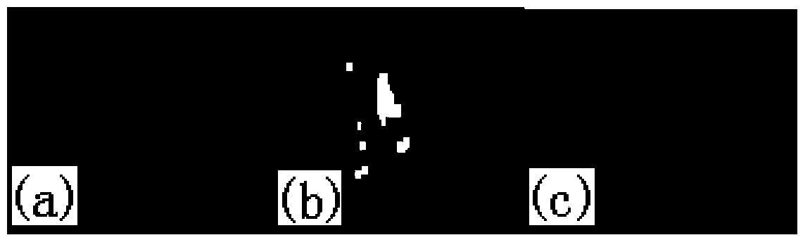 Target characteristic extraction method, identification method, extraction device and identification system for synthetic aperture sonar image