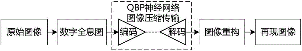 Digital holographic compression transmission method of quantum backward propagation nerve network