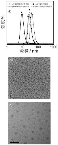 Amphiphilic segmented copolymer as well as shell crosslinking micelle, preparation method and application thereof