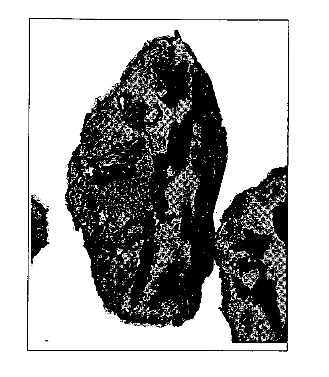 Toner, developer, image forming apparatus, process cartridge and image forming process