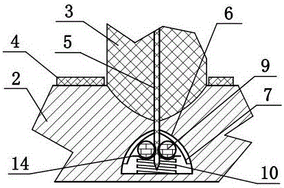 Sick pig monitoring apparatus based on infrared thermal imaging