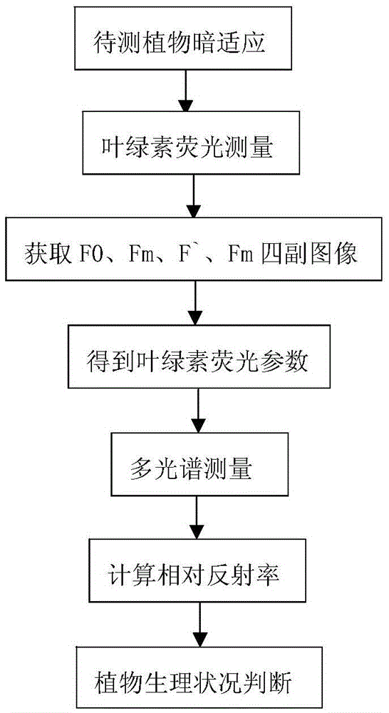 Plant physiology monitoring method based on chlorophyll fluorescence and multispectral image