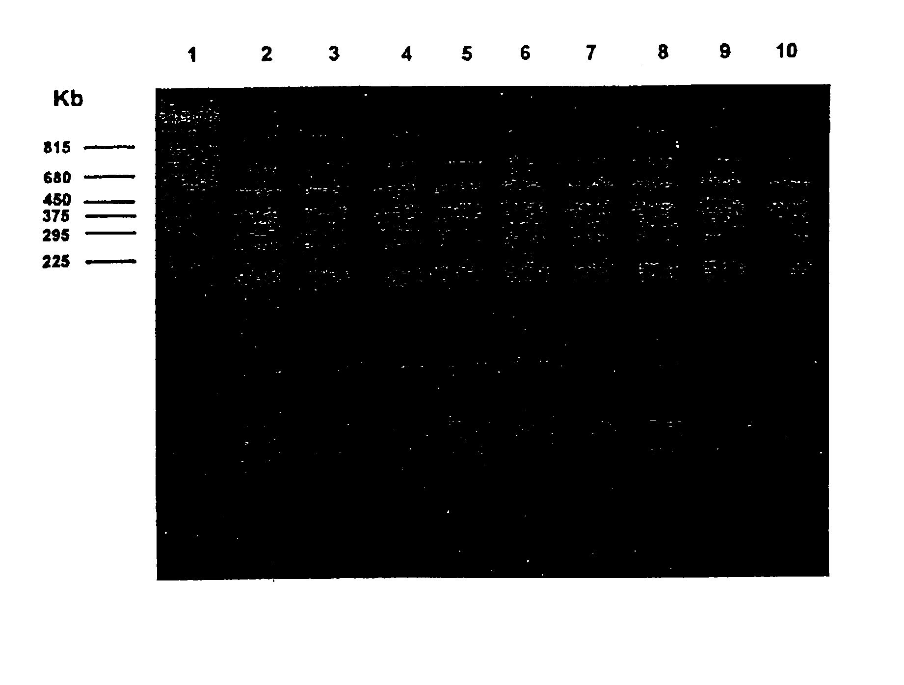 Method for suppressing growth of mycobacteria in metalworking fluids