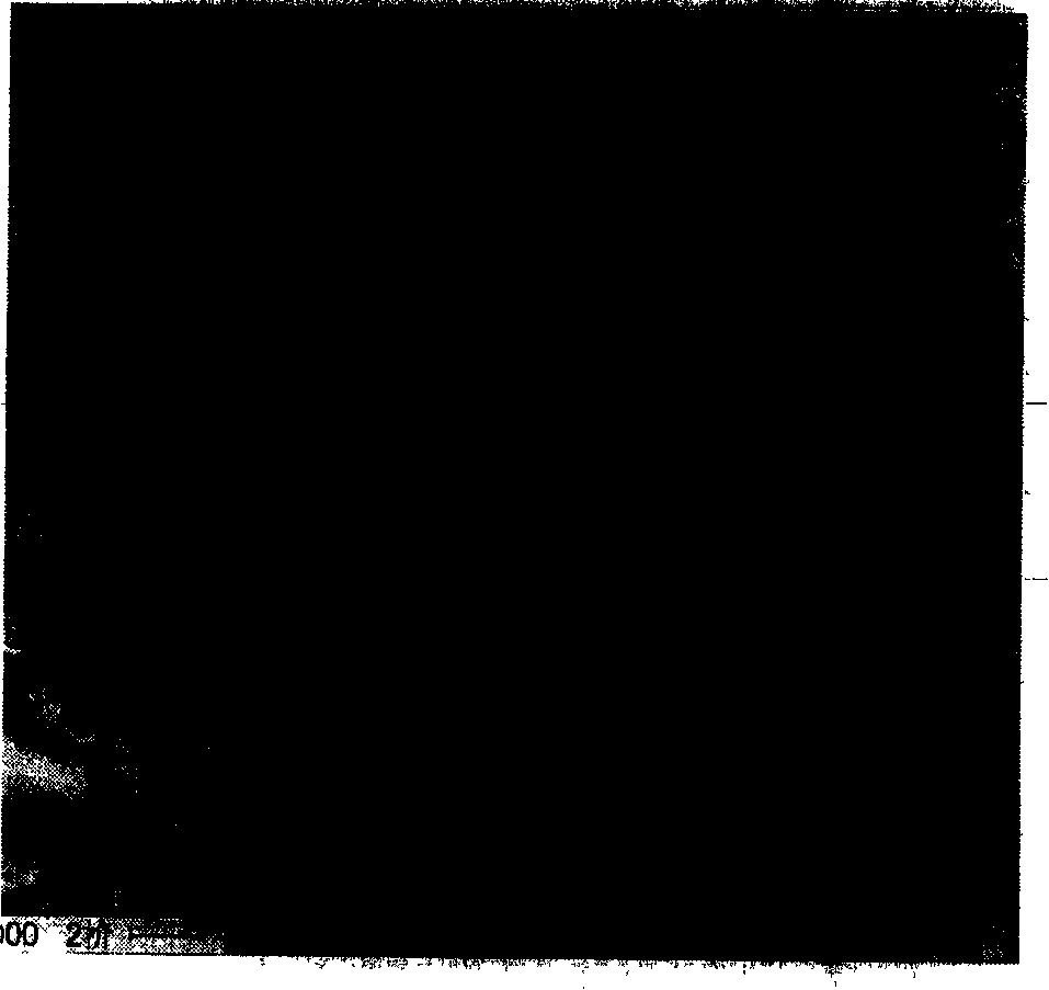 Tourmaline/titanium dioxide composite collosol containing rare earth and its preparation method and uses