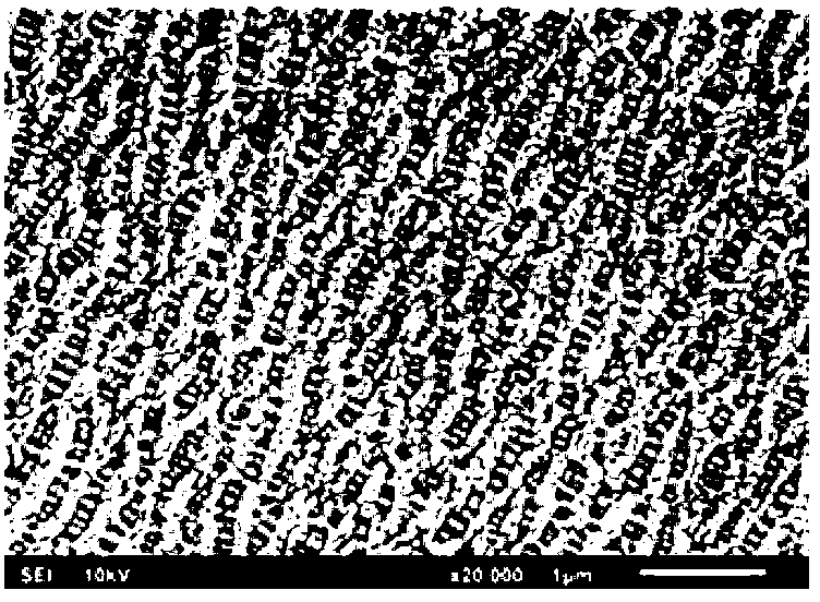 Lithium ion secondary battery polymer separation film corona processing method