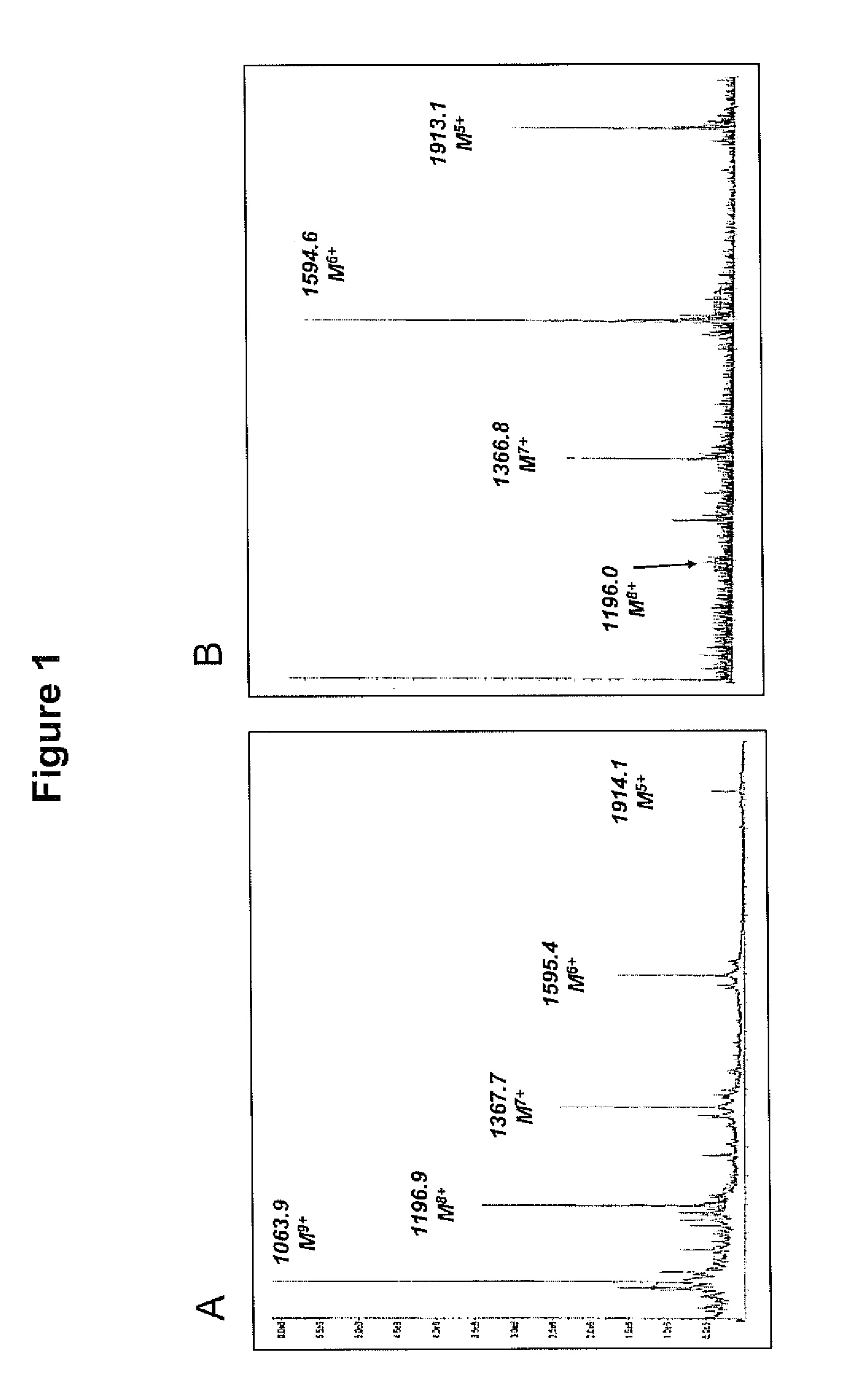 Truncated cystine-knot proteins