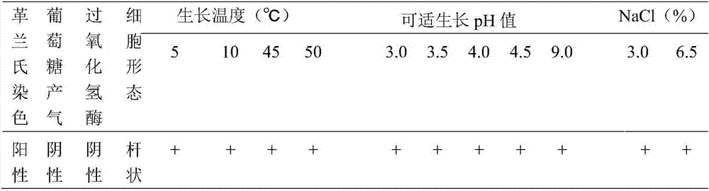 Lactobacillus plantarum and application thereof