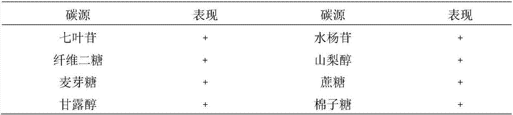 Lactobacillus plantarum and application thereof