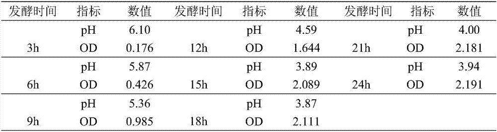 Lactobacillus plantarum and application thereof