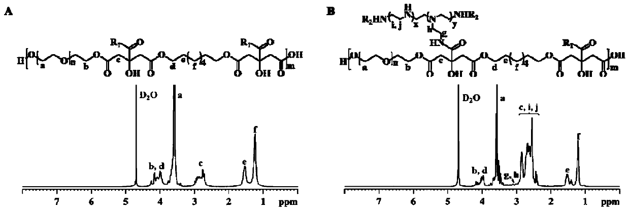 A kind of autofluorescence degradable polycitrate non-viral gene carrier and its preparation method