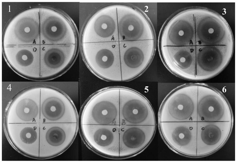 A kind of organic/inorganic combined antibacterial composition and its preparation method and application