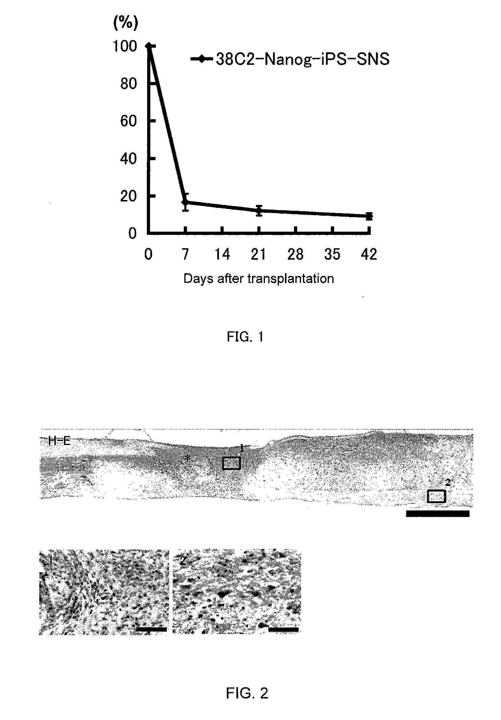 Method of treating neural defects