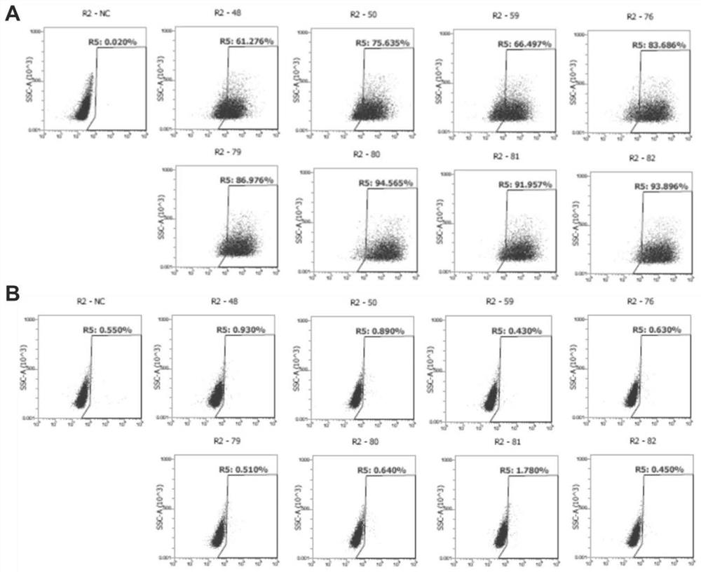 Humanized monoclonal antibody targeting Claudin18.2 as well as preparation method and application thereof