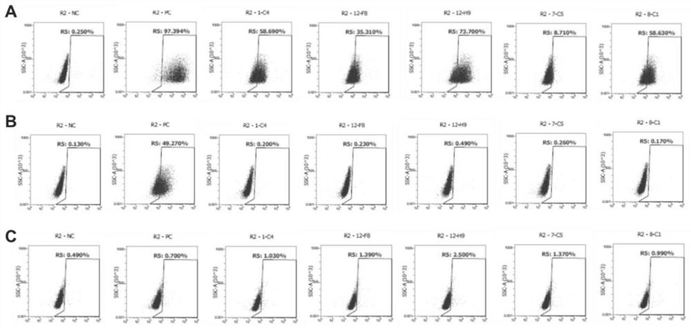 Humanized monoclonal antibody targeting Claudin18.2 as well as preparation method and application thereof