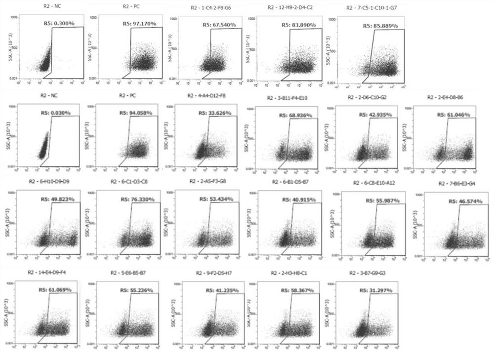 Humanized monoclonal antibody targeting Claudin18.2 as well as preparation method and application thereof