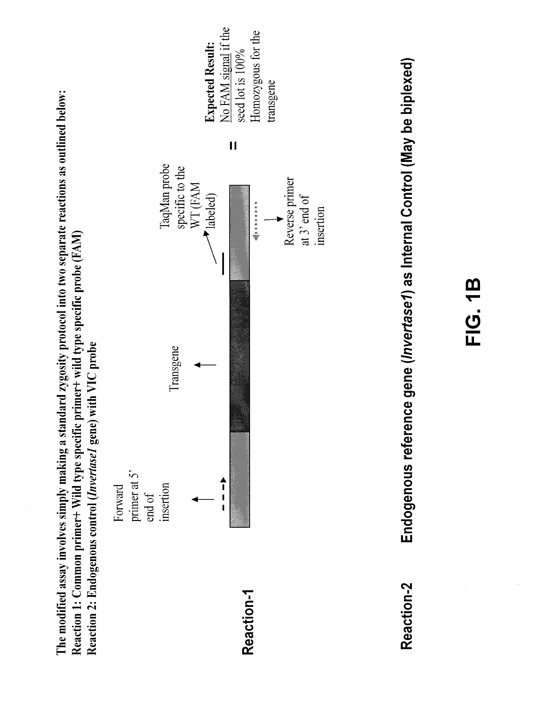 Methods to determine zygosity in a bulked sample