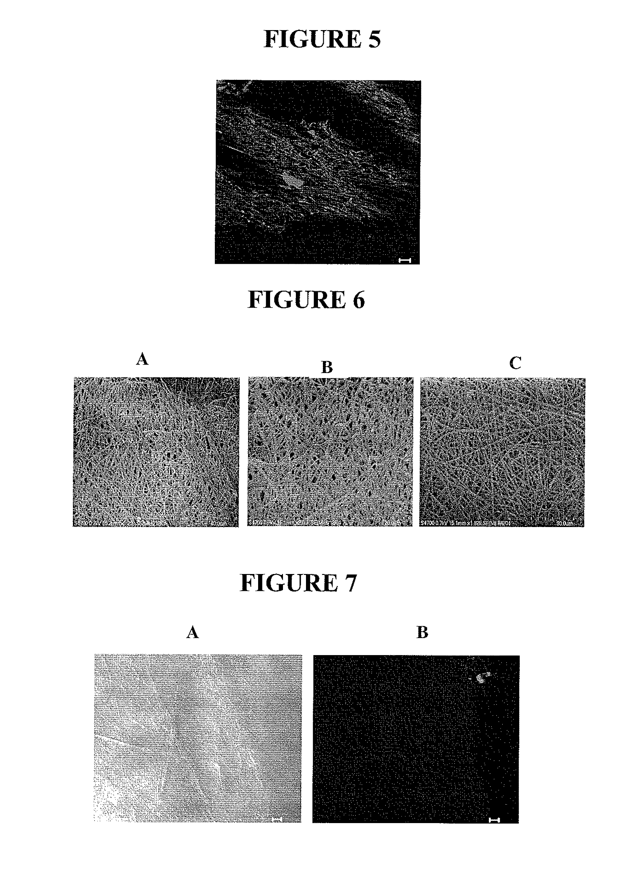 Cell-mediated delivery and targeted erosion of noncovalently crosslinked hydrogels