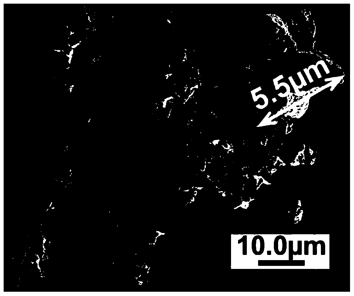 A self-assembled three-dimensional copper Raman-enhanced substrate and its preparation method and application