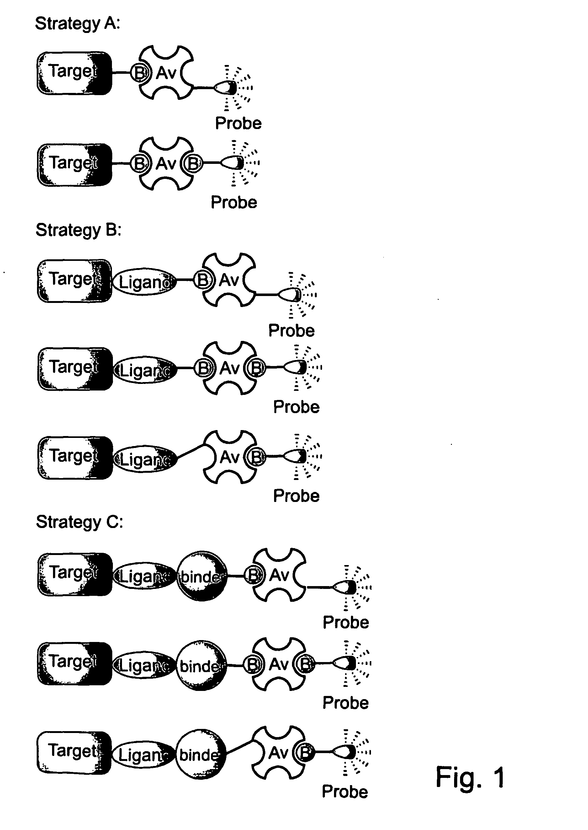 Novel synthetic binding pairs and uses thereof