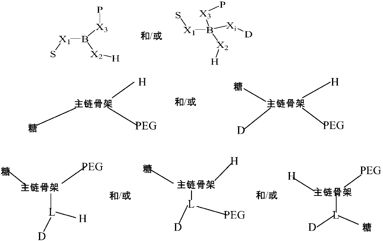 Polymer-carbohydrate conjugates for drug delivery technology