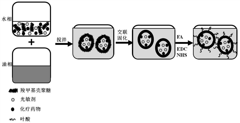 Carboxymethyl chitosan microcapsule for jointly loading chemotherapeutic drug and thermal therapy sensitizer to slowly release novel embolic agent, and preparation method and application of carboxymethyl chitosan microcapsule