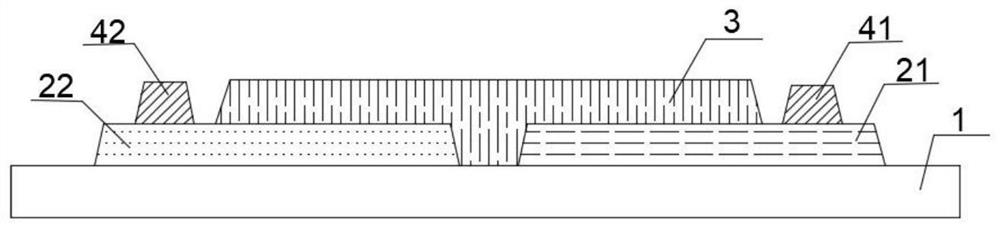 Diode type photoelectric sensor and preparation method thereof