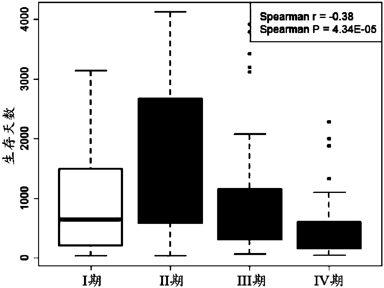 Colon cancer individuation prognosis evaluation method based on multigene expression characteristic spectrum