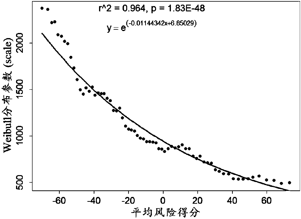 Colon cancer individuation prognosis evaluation method based on multigene expression characteristic spectrum