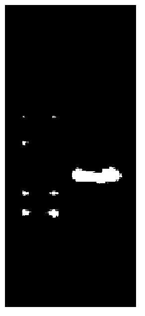 Application of deinococcus radiodurans R1 trkB genes to cultivation of salt-tolerant plants