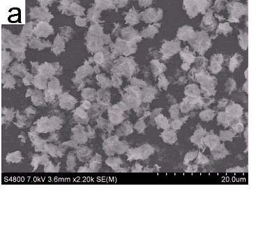 Bismuthyl carbonate micro flowery material with graded structure and preparation method thereof