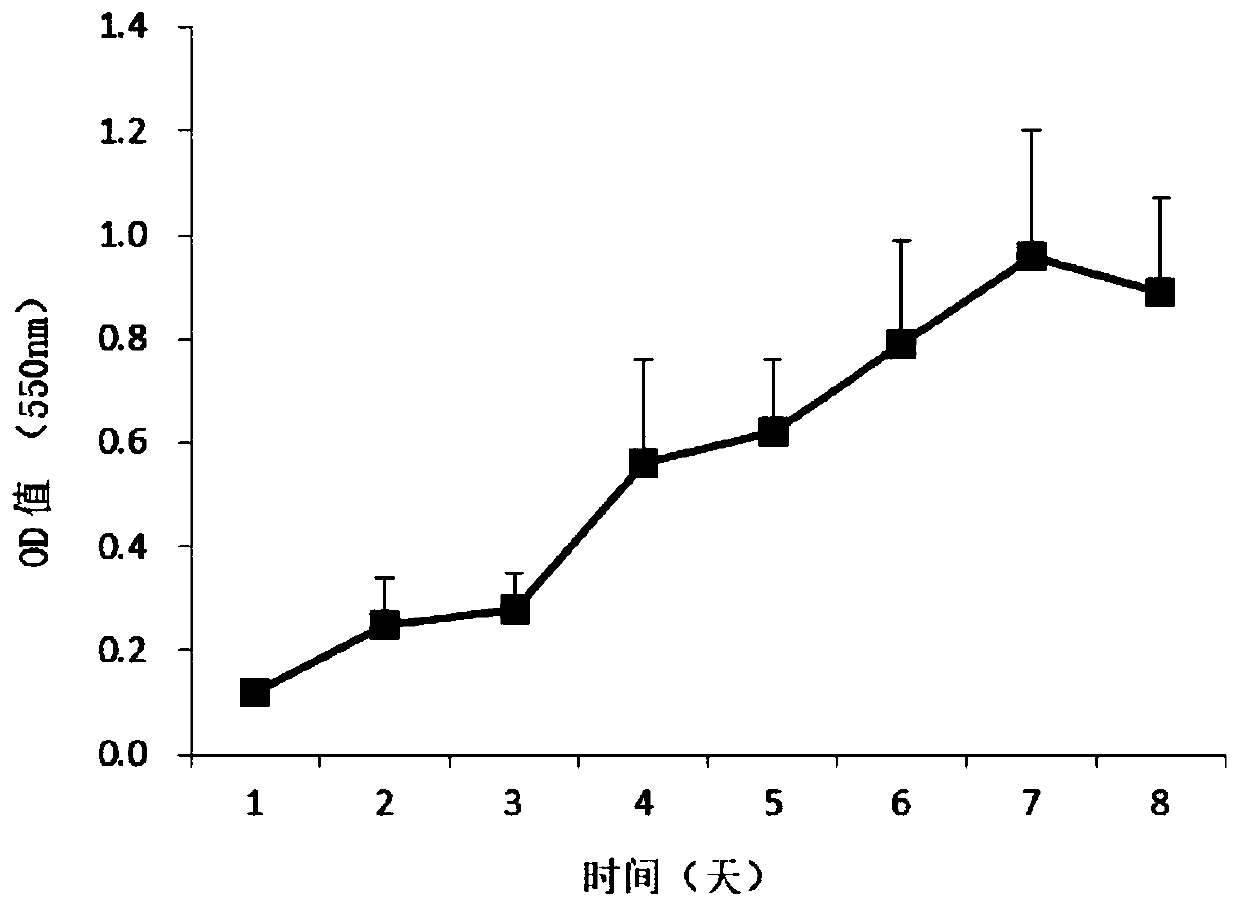 Human intestinal cancer primary cell and application and culture method thereof