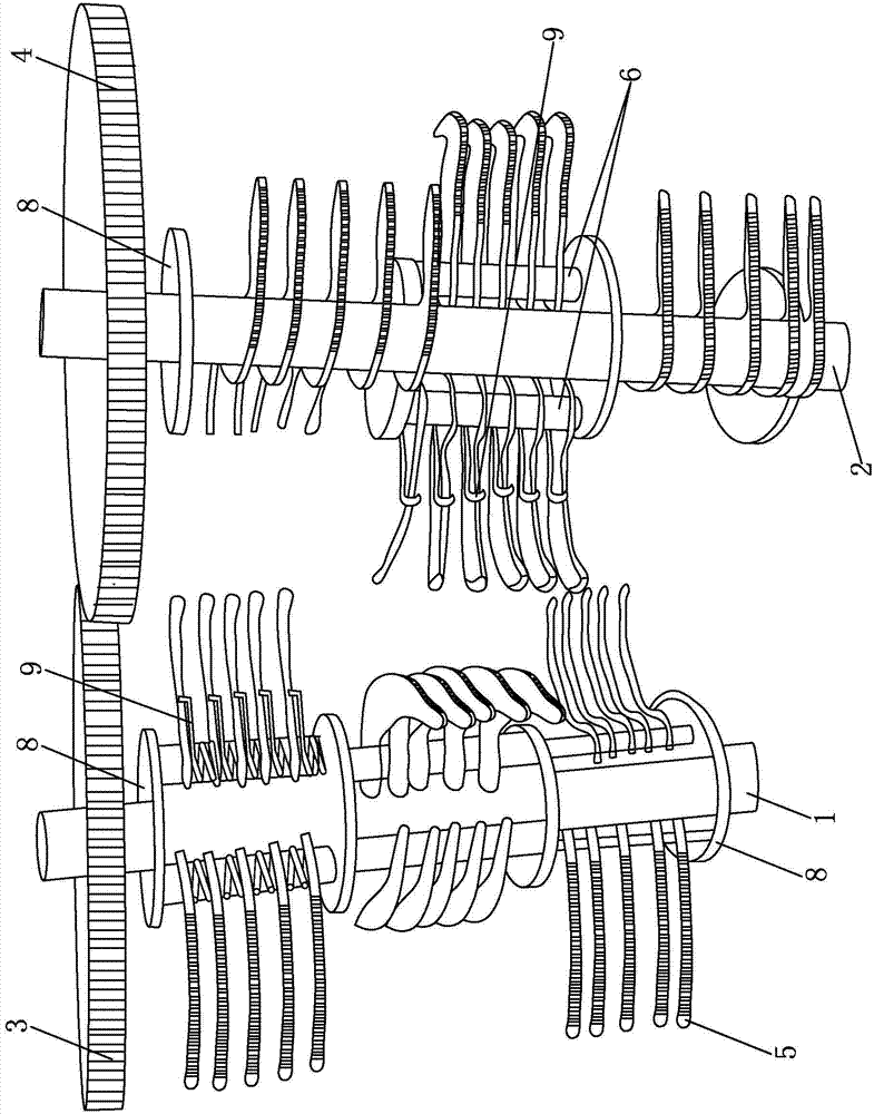 Fish scale removing mechanism