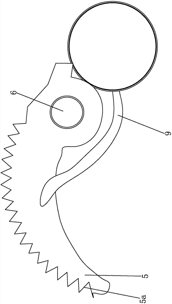 Fish scale removing mechanism