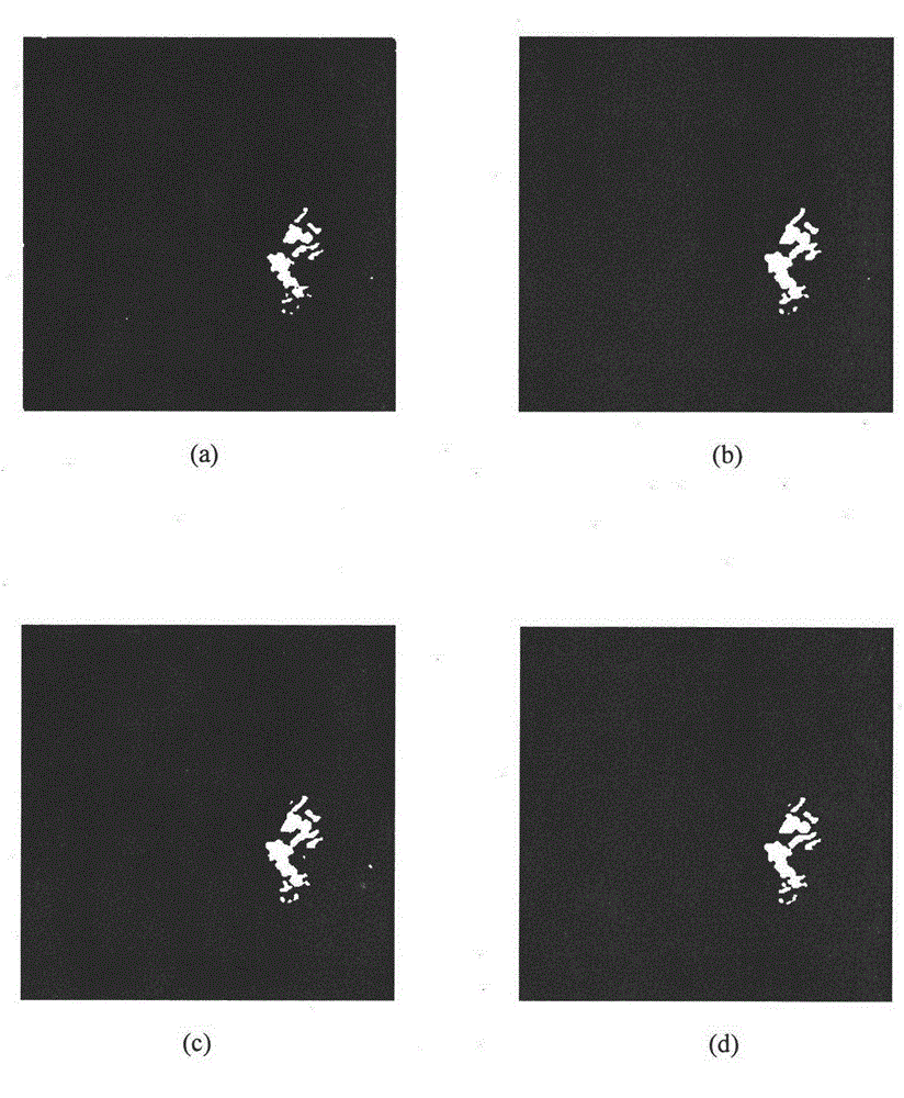 Fuzzy clustering analysis method for detecting synthetic aperture radar (SAR) image changes based on non-local means