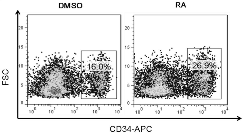 A method for promoting directed differentiation of human pluripotent stem cells into endothelial cells