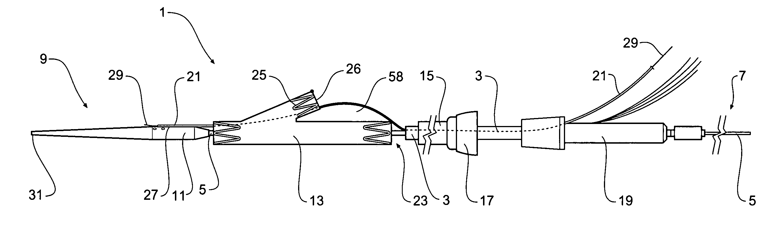 Introducer for an iliac side branch device