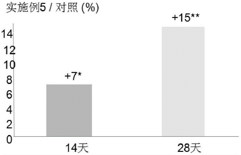 Sponge micro-needle containing anti-aging composition capable of activating cells